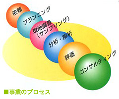 図解：事業のプロセス